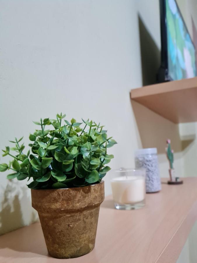 Ex-Block District Charming Studio Apartment With Treeish Sorrounding View! Tirana Extérieur photo